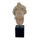 4th-2nd Bc Ancient Greek Classical Hellenistic Period Terracotta Head On Stand