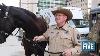 Fn5 Daily Saddle Up With Clare County Sherriff S Mounted Unit