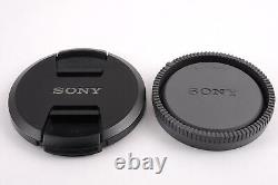 Mint withBox Sony FE 24mm f/1.4 GM Lens SEL24F14GM For Sony E-Mount From Japan