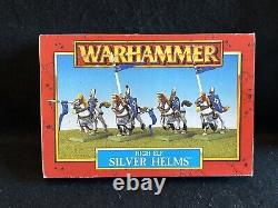 Atelier des jeux Warhammer High Elf Elves Silver Helms Mounted Lords Régiment 16